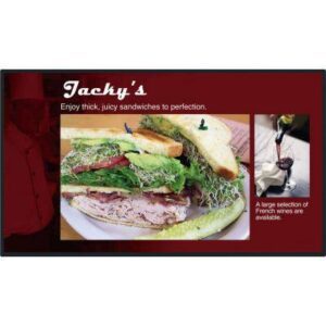 48" TH-48LFE8E LCD Display