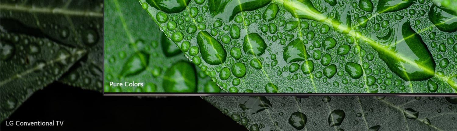 Real 4K Made by Pure Colors