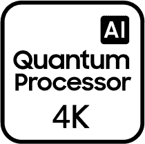Quantum-Processor
