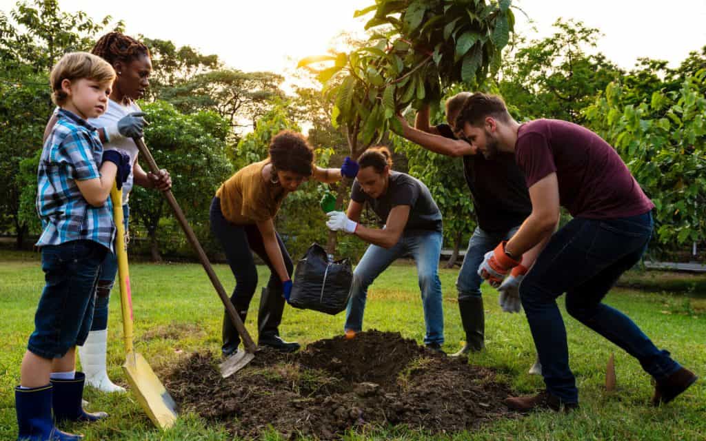 ESG planting a tree